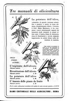 giornale/UM10003065/1945-1946/unico/00000387
