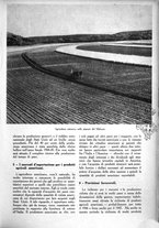 giornale/UM10003065/1945-1946/unico/00000395