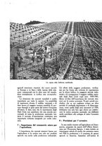 giornale/UM10003065/1945-1946/unico/00000396