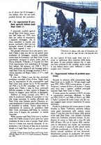 giornale/UM10003065/1945-1946/unico/00000399