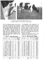 giornale/UM10003065/1945-1946/unico/00000421