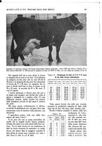 giornale/UM10003065/1945-1946/unico/00000423