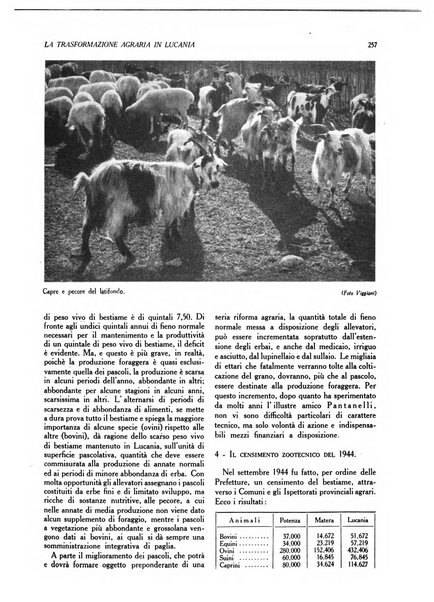 L'Italia agricola