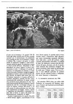 giornale/UM10003065/1945-1946/unico/00000433