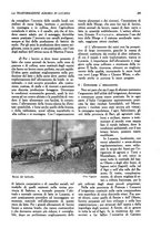 giornale/UM10003065/1945-1946/unico/00000435