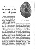 giornale/UM10003065/1945-1946/unico/00000439