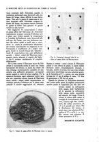 giornale/UM10003065/1945-1946/unico/00000441