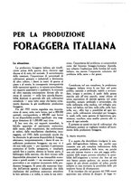 giornale/UM10003065/1945-1946/unico/00000447