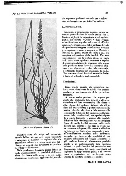 L'Italia agricola