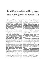 giornale/UM10003065/1945-1946/unico/00000452