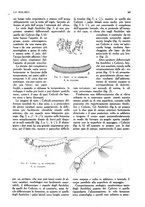 giornale/UM10003065/1945-1946/unico/00000495