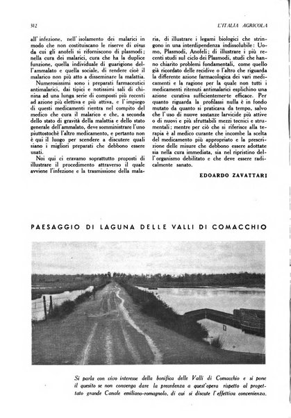 L'Italia agricola