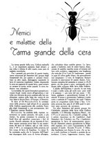 giornale/UM10003065/1945-1946/unico/00000505