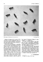 giornale/UM10003065/1945-1946/unico/00000508