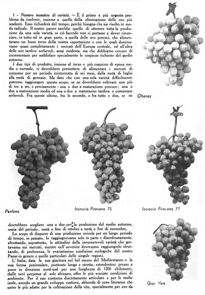 L'Italia agricola