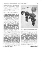 giornale/UM10003065/1945-1946/unico/00000525