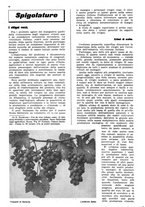 giornale/UM10003065/1945-1946/unico/00000550