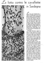giornale/UM10003065/1945-1946/unico/00000558