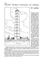 giornale/UM10003065/1945-1946/unico/00000586