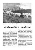 giornale/UM10003065/1945-1946/unico/00000587