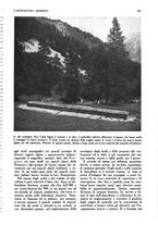 giornale/UM10003065/1945-1946/unico/00000589