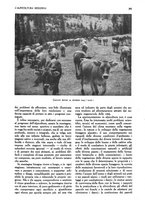 giornale/UM10003065/1945-1946/unico/00000591