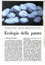 giornale/UM10003065/1945-1946/unico/00000594