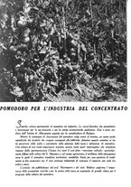 giornale/UM10003065/1945-1946/unico/00000640