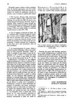 giornale/UM10003065/1945-1946/unico/00000644
