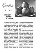 giornale/UM10003065/1945-1946/unico/00000663