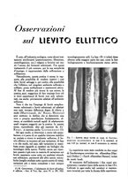 giornale/UM10003065/1945-1946/unico/00000669