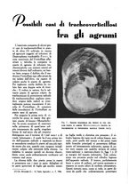 giornale/UM10003065/1945-1946/unico/00000683
