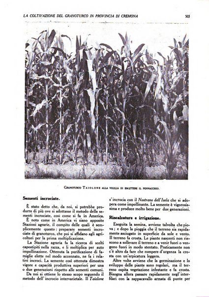 L'Italia agricola