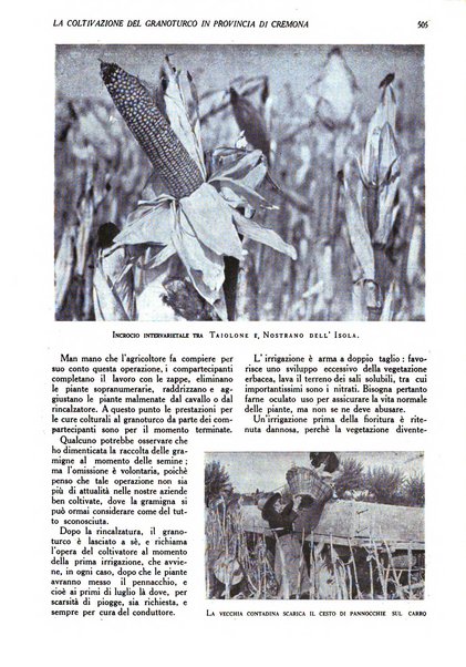 L'Italia agricola