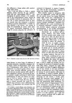 giornale/UM10003065/1945-1946/unico/00000764