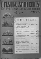 giornale/UM10003065/1945-1946/unico/00000781