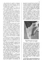giornale/UM10003065/1945-1946/unico/00000789
