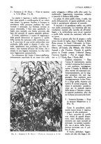 giornale/UM10003065/1945-1946/unico/00000804