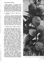 giornale/UM10003065/1945-1946/unico/00000807