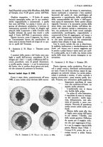 giornale/UM10003065/1945-1946/unico/00000808