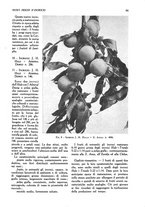 giornale/UM10003065/1945-1946/unico/00000809