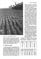 giornale/UM10003065/1945-1946/unico/00000818