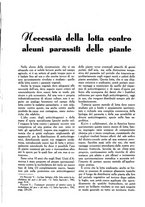 giornale/UM10003065/1945-1946/unico/00000833