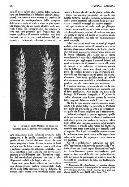 L'Italia agricola