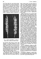 giornale/UM10003065/1945-1946/unico/00000834