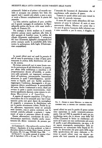 L'Italia agricola