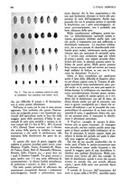 giornale/UM10003065/1945-1946/unico/00000836