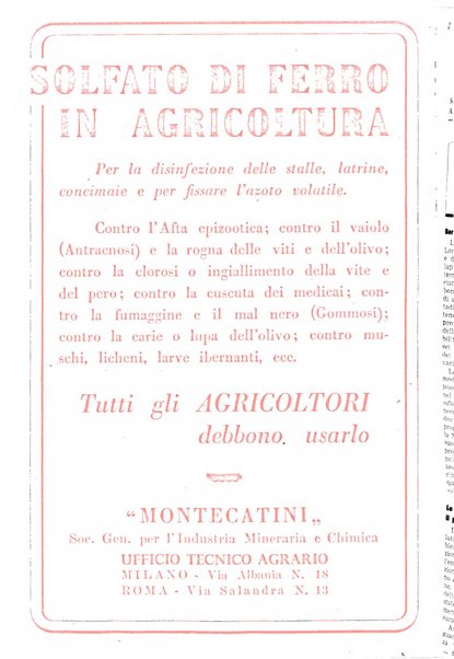 L'Italia agricola