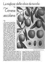 giornale/UM10003065/1945-1946/unico/00000922