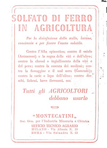 L'Italia agricola